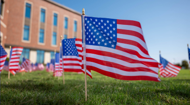 American flags on lawn